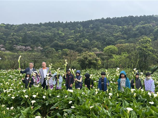 台北副市长张温德与在地湖田实验国小学生同游竹子湖看海芋。（张珈瑄摄）