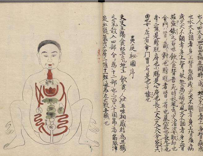 《耆婆五臟经》中「黄庭秘图序」 。（图／故宫提供）