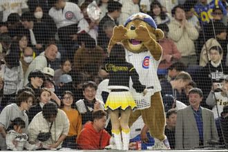 《時來運轉》棒球賽如遇延期或中斷 今年起將可更快拿回投注款項