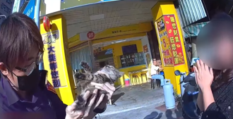 喵喵声响不停！短髮女警一把救出小猫  网笑：喵所长上线