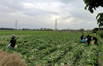 農業部清查農保 全台恐剔除8000餘名