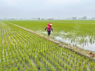 雲林 農保資格清查 6000人恐被退保