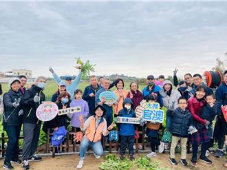 金門官澳拔蘿蔔體驗農家樂 手作「菜頭圓」收穫滿滿