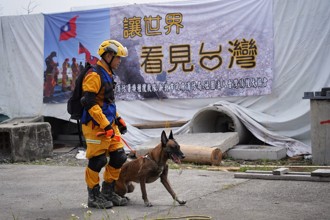 15隻搜救犬通過IRO國際評量領證！ 將成救災最新戰力
