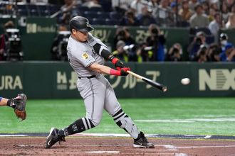 MLB》巨人主砲岡本和真大放異彩！小熊主帥稱其值得關注