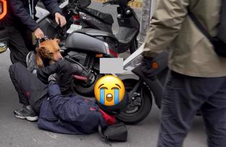 比特犬當街咬人沒事！ 竟是「找議員喬掉」？飼主背景曝光