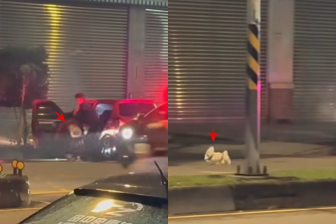 小白狗不理被压制在地的主人，一心奔向自由。（图／脸书社团「爆废公社」）