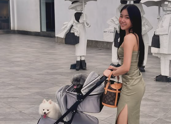 国税局认要查家寧家是否有逃漏税问题。（图／家寧IG）