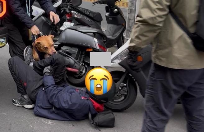 北市二度发生比特犬咬人。（翻摄自PTT乡公所）