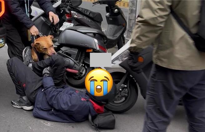 台北市3月传出2次比特犬咬人事件，且还为同一只犬只。对此，台北市动保处回应，针对第2次咬人事件也将依《动物保护法》处9万至15万元。(翻摄自PTT乡公所)