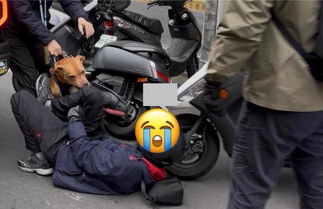 台北市文山区6日发生比特犬跳出车窗伤人案，同犬只17日于大安区再次发生跳窗咬人事件，台北市动保处表示，除分别依《动物保护法》裁处罚锾5万元及9万元外，也将没入犬只。（翻摄自PTT乡公所）