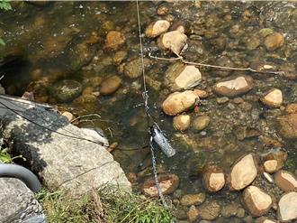 桃環創新提案抱3獎 科技執法獲青睞