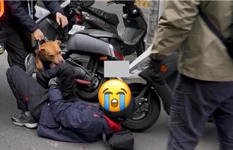 比特犬Lucky咬人傳議員關說 他與飼主同姓被造謠上千則留言