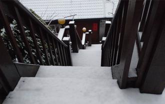 拉拉山下雪了！上巴陵清晨積雪3公分 遊客驚嘆銀白美景