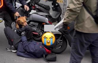 比特犬連咬傷2騎士 飼主遭疑「蓄意放狗咬人」！警方：無從判斷