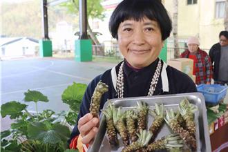阿里山山葵「绿金」再现！产销打造「哇沙米」特色