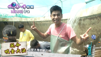 20年长寿节目《世界第一等》收摊！电视台证实「转型接棒」