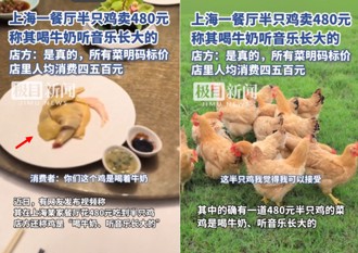 半隻雞上桌賣2千多！ 上海餐廳：喝牛奶聽音樂長大的