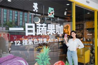 CAMA CAFE携手波蜜推「百蜜蔬果冷萃」 提神、健康双重价值一杯带走
