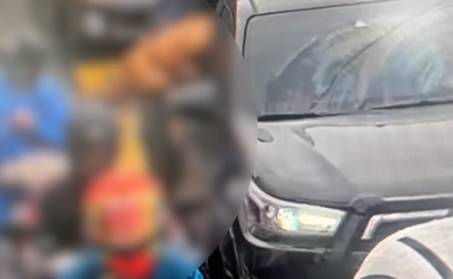 比特犬Lucky6日才伤人，昨日再次从车窗跳出撕咬骑士。（警方提供／萧宥彤翻摄）