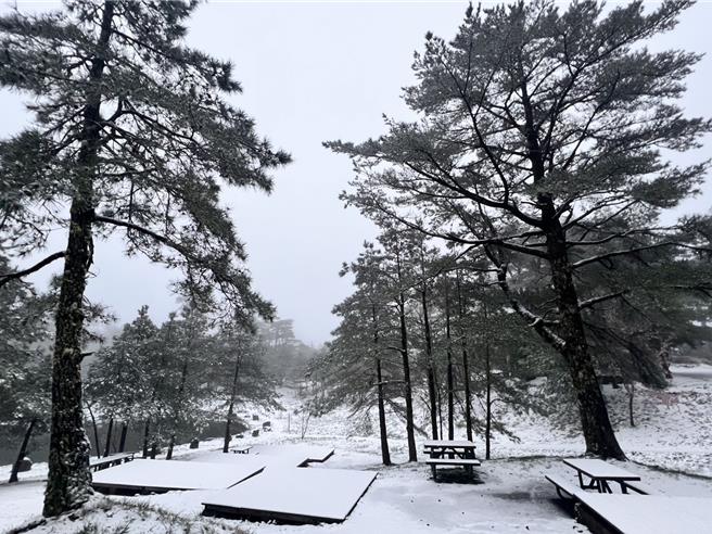 福寿山农场积雪10公分，已成一片银白世界。（福寿山农场提供／宝智华台中传真）