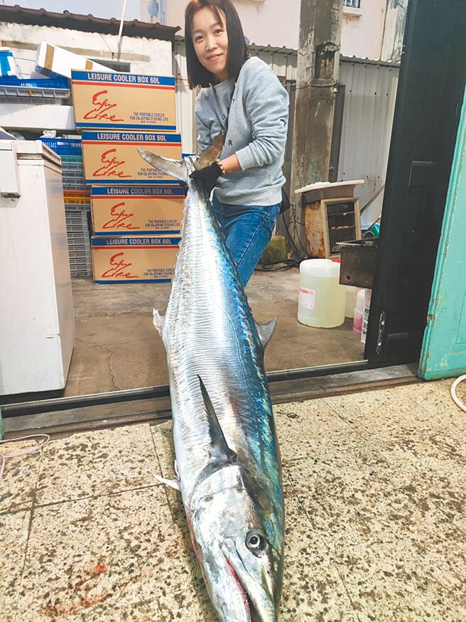 七美钓获34.1公斤「霸王级」土魠，因为过了价格最好的黄金期，渔民乾脆不卖，留着自家享用。（七美安龙提供／许逸民澎湖传真）
