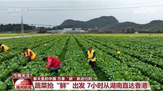 不沿边不靠海的湖南永州 如何7小时卖菜到香港餐桌？
