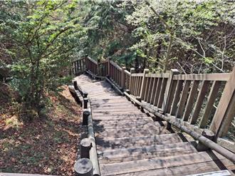 雪霸觀霧遊憩區雲霧步道 4／1起整修全線封閉