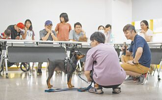 台中寵物生命設施 力拚明年底啟用