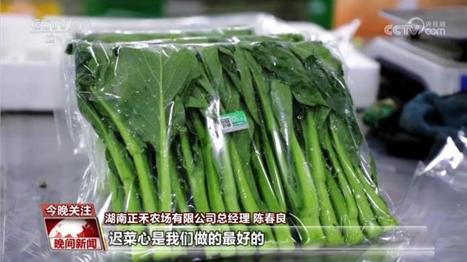 湖南永州不沿边不靠海蔬菜抢鲜7小时直送香港。（大陆央视）