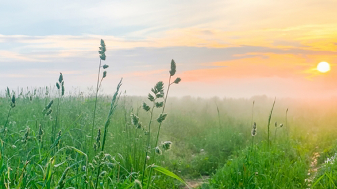 命理风水专家指出，春分虽日夜温差大，但光洒大地，福气渐长，鼠、牛、兔、猪将大走财运。（示意图：Shutterstock／达志）