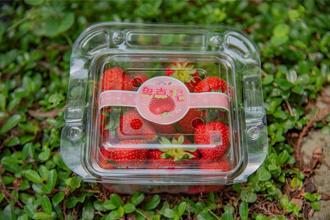 碳足跡標籤規範法制化 誇大產品減碳效益恐挨罰百萬