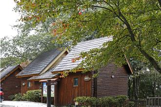 大雪山森林遊樂區4月起暫停住宿 年底整修後開放