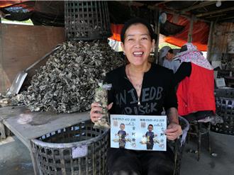 牡蠣也有身分證？雲林「古蚵撿」通過溯源管理 銷量翻倍