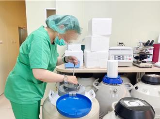 六都最晚！高雄市「凍卵補助」來了 每人補助最高3萬元