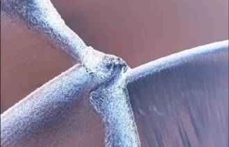 影》錢塘江現罕見蝴蝶潮：四方力量視覺盛宴太震撼