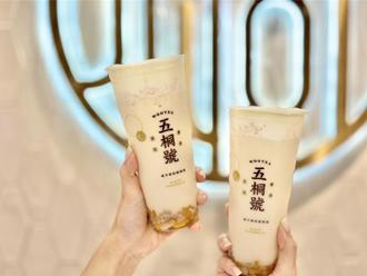 「武統」諧音哏？綠粉瞎批五桐號  網傻眼：有病要看醫生