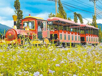 理想大地全包式假期 五感饗宴