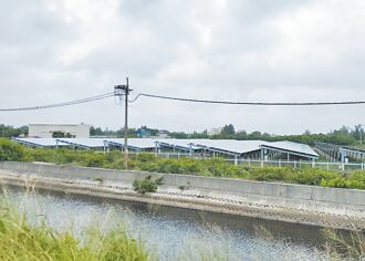 清查農保 張麗善促放寬標準