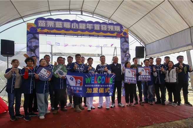 台湾蓝莓市场需求稳定成长，苗栗青农看准商机，积极投入种植。为提升产业竞争力，苗栗县府与农村水保署台中分署携手，成立全台首座蓝莓合作社「保证责任苗栗县永续莓果生产合作社」成立。（吕丽甄摄）