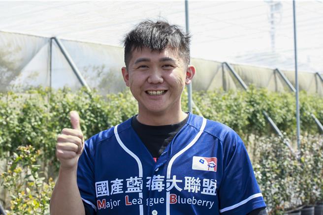 青农陈志伟表示，今年首次种植蓝莓，并于去年5月开始种植，共计540棵，约0.1公顷。（吕丽甄摄）