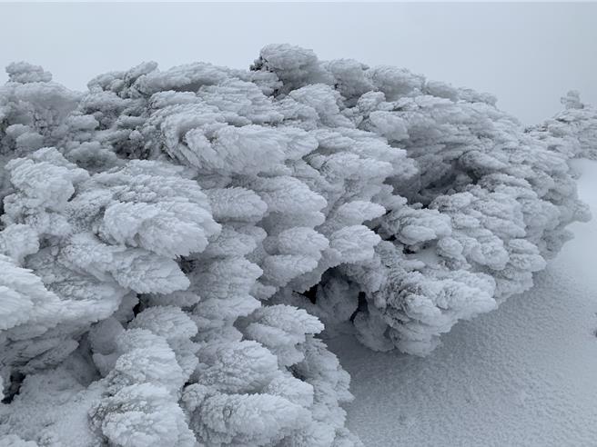 受近期冷氣團影響，雪山一帶的積雪量大幅增加，雪山頂峰積雪約20公分，雪山圈谷約16至18公分。雪霸國家公園管理處提醒山友攜帶完整雪地裝備，並做好保暖措施，尤其在滑雪與冰雪混合地形的區域需特別小心。（雪山東峰積雪山友徐慧娟提供／呂麗甄苗栗傳真）