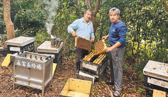 內門蜜蜂產銷班班長蔡宗國（左）指出，自己從事養蜂超過40年，但這幾年氣候不穩，花況變化大，使得產量起伏不定，讓養蜂業風險加劇。右為永富養蜂場負責人蔡坤成。（林雅惠攝）