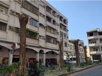 高雄7層樓高黑板樹遭「斷頭」 社區住戶傻眼：遮蔭處沒了