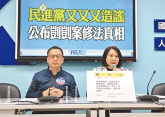 虐童致死修法 剴剴案藍綠互嗆