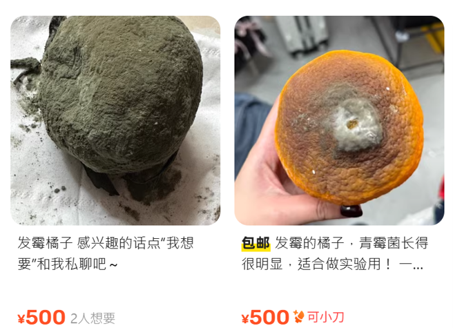 大陆网路二手平台贩售的发霉橘子。（图／翻摄自闲鱼二手平台）