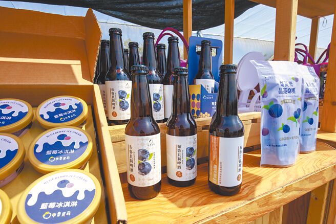 台灣藍莓市場需求穩定成長，苗栗青農看準商機，積極投入種植。為提升產業競爭力，苗栗縣府與農村水保署台中分署攜手，成立全台首座「保證責任苗栗縣永續莓果生產合作社」。（呂麗甄攝）