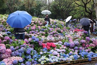 別被陽光騙了！9縣市低溫特報溫度溜滑梯「越晚越冷」剩10度