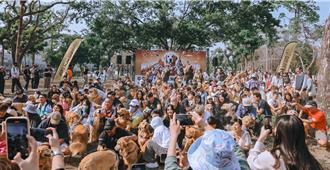 國際小狗日！高雄動保處「辦派對」 500隻毛孩齊聚中正公園