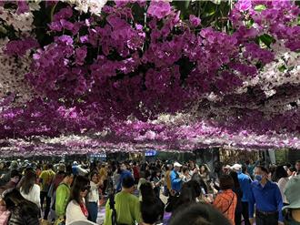 台灣國際蘭展遊客數破35萬 農特產品館賣破800萬元